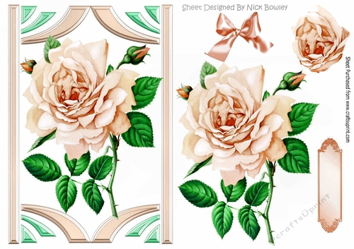 peach rose in art deco frame with bow