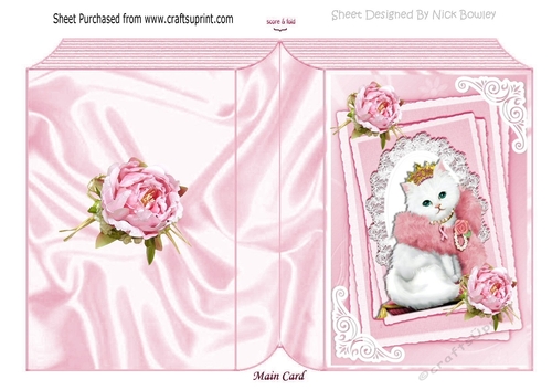 princess kitty with pink roses on lace folded book