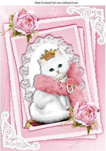 princess kitty with pink roses on lace A4