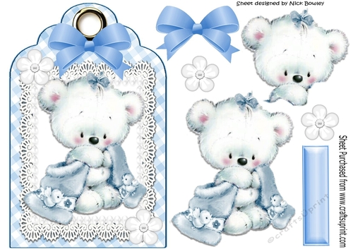 Little white teddy cuddling blanket on lace blue gingham tag