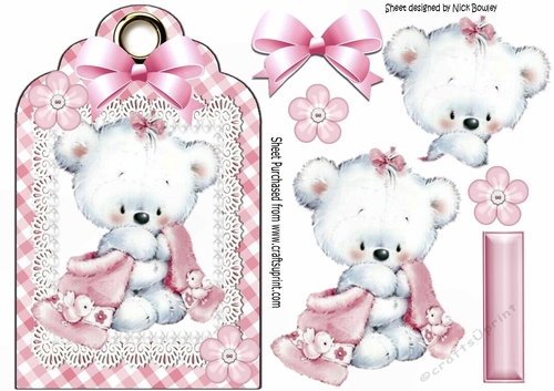 Little white teddy cuddling blanket on lace pink gingham  tag