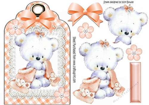Little white teddy cuddling blanket on lace peach gingham tag
