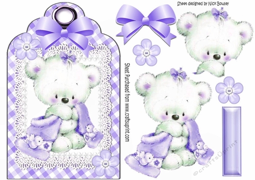 Little white teddy cuddling blanket on lace lilac gingham tag