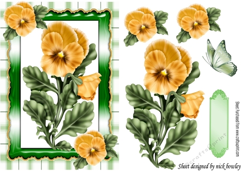 pretty yellow pansies in ornate frame with gingham A5
