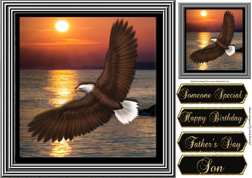 Beautiful eagle flying into the sunset 8x8