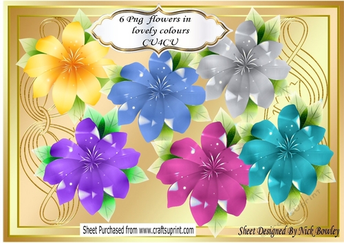 6 pretty flowers in png pretty colours