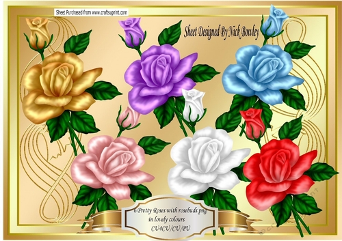 6 pretty roses with rosebuds in colours png