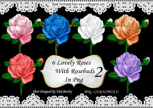 6 Lovely Roses with rosebuds png set 2