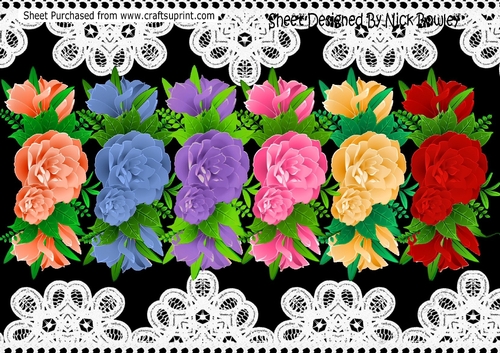 6 Pretty colours of a border of roses png