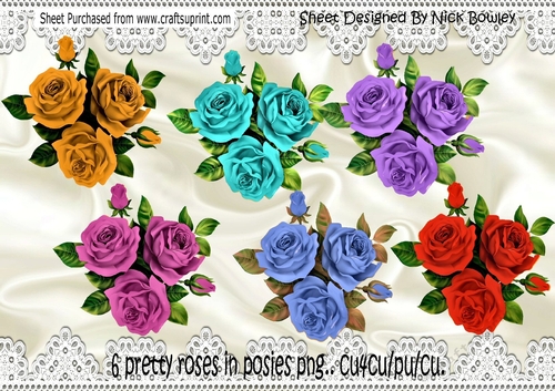 6 Pretty Posies of Coloured Roses png