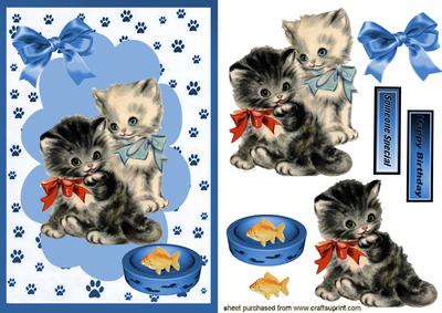 Can We Share! Cute Little Kittens