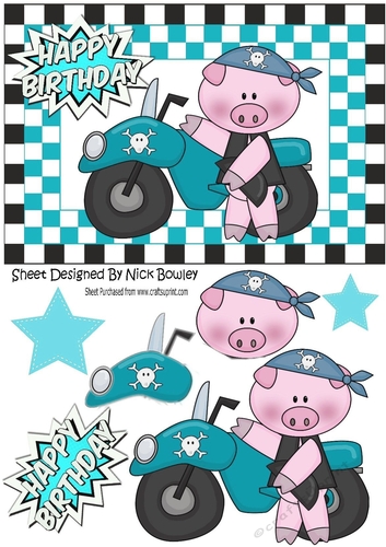 Turq Biker, Pig in Skull helmet in chequered frame A5