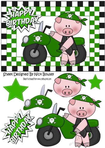 Green Biker, Pig in Skull helmet in chequered frame A5