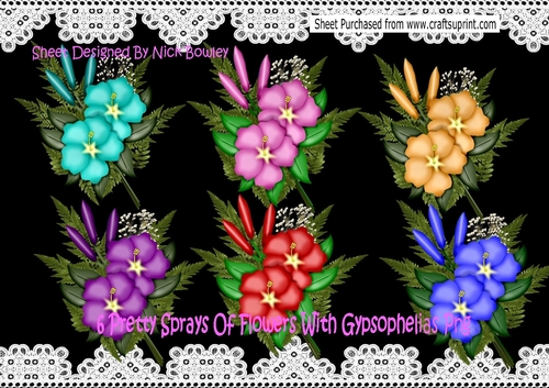 6 Pretty Coloured Sprays Of Flowers with Gypsophilia png