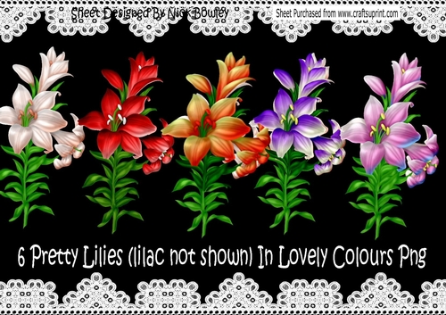 6 Pretty Coloured Lilies png