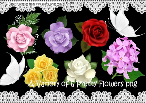 A Variety Of 6 Pretty Flowers png