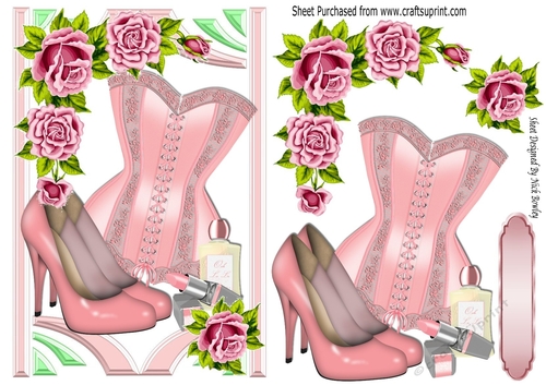 pink roses with pretty pink corset & accessories in retro frame A5