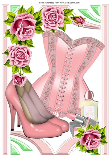pink roses with pretty pink corset & accessories in retro frame A4