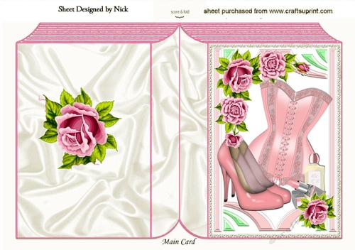 pink roses with pretty pink corset & accessories in retro frame A5 folded book