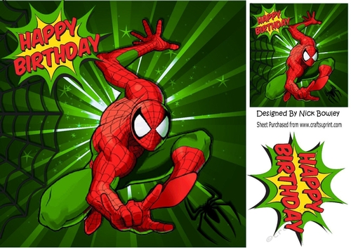 Spider hero in green with web 8x8