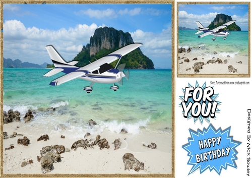 Plane flying over a beach with an Island in the ocean 8x8