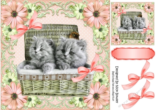 Cute Kittens in a basket in peach floral frame with bows 8x8