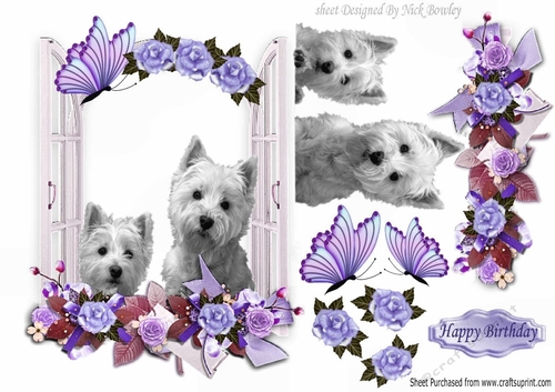 Cute Gypsey & Suzy, Westies looking out the window with purple flowers