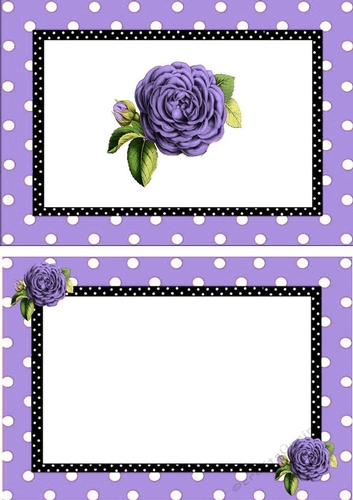 pretty purple polkadot/stripe shoes with purple roses A5 Insert