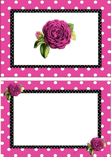 pretty pink polkadot/stripe shoes with pink roses A5 Insert