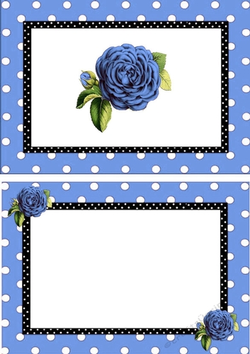 pretty blue polkadot/stripe shoes with blue roses A5 Insert