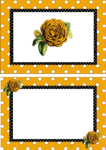 pretty gold polkadot/stripe shoes with gold roses A5 Insert