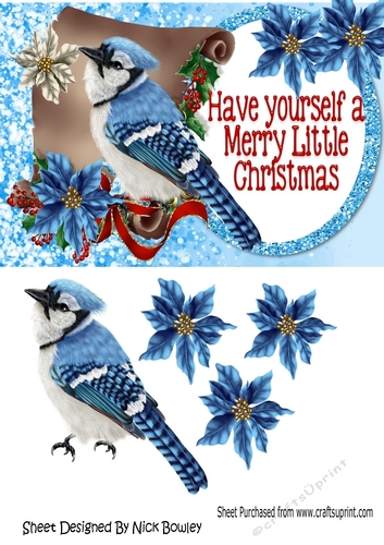 pretty blue bird on a scroll with holly and poinsettias