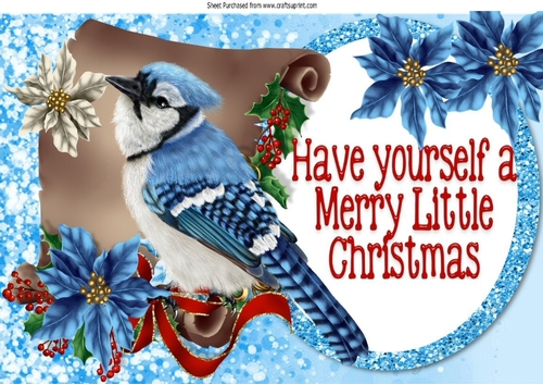 pretty blue bird on a scroll with holly and poinsettias A4