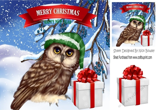 Lovely Owl in wooly hat in snow scene 8x8