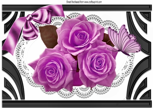 Ornate Art Deco frame with lilac roses & butterflies A4