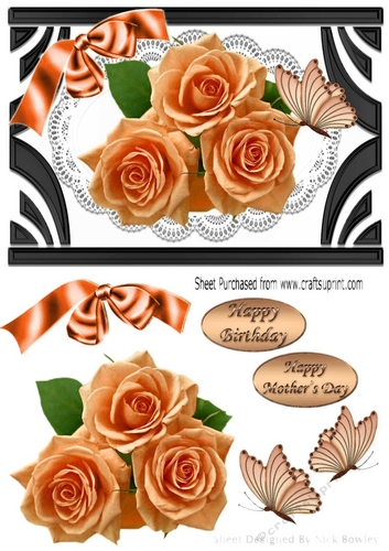 Ornate Art Deco frame with peach roses & butterflies A5
