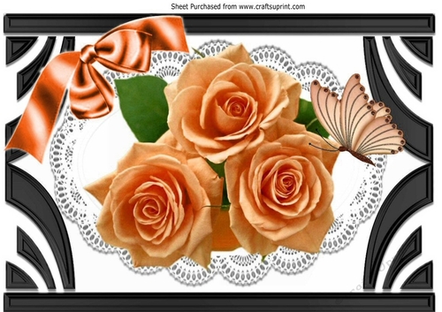 Ornate Art Deco frame with peach roses & butterflies A4