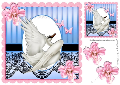 with grace beautiful swan with pink flowers & black lace 8x8