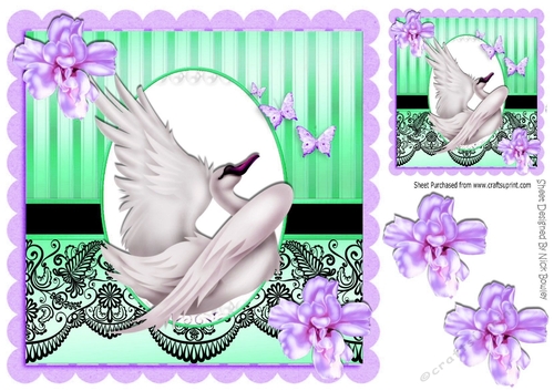 with grace beautiful swan with lilac flowers & black lace 8x8