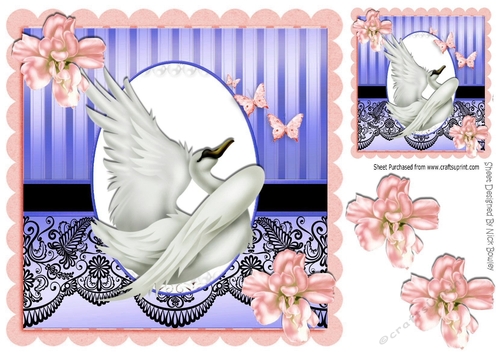 with grace beautiful swan with peach flowers & black lace 8x8