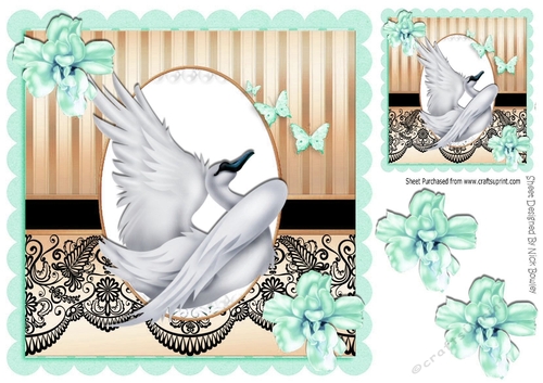 with grace beautiful swan with turq flowers & black lace 8x8