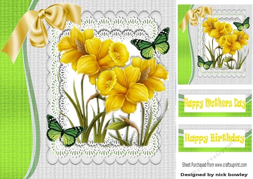 pretty yellow daffodils with butterflies and bow 8x8