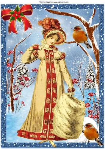 vintage lady in her winter coat in the snow with robins A4