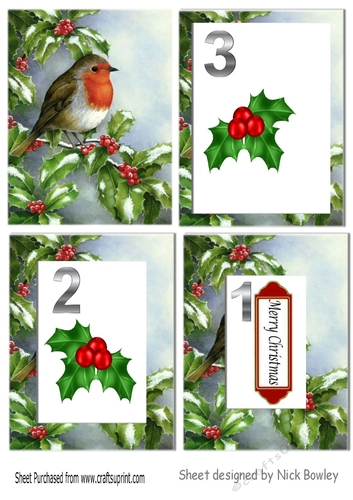  robin with snow & holly & berries tunnel pyramids
