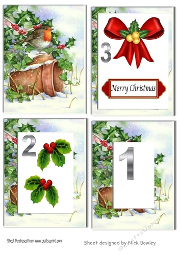 robin with snow & holly & berries with flower pots tunnel pyramids