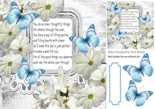 pretty white daisies, flowers and blue butterflies with verse 8x8