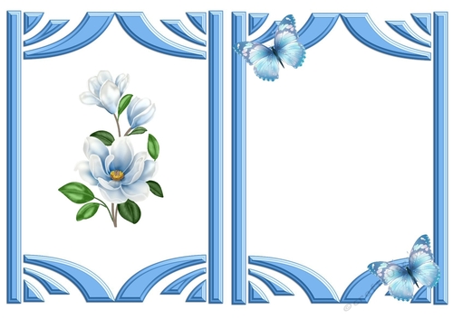 Blue Magnolias with butterflies in retro frame A5 Insert