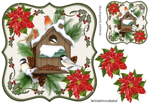 robins and winter birds in snow bird house with poinsettias in holly frame 8x8