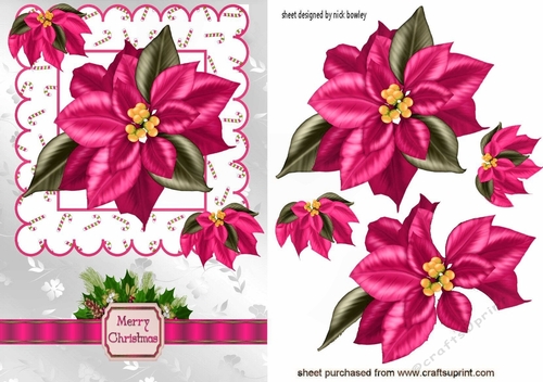pretty pink poinsettias with bow & holly A5