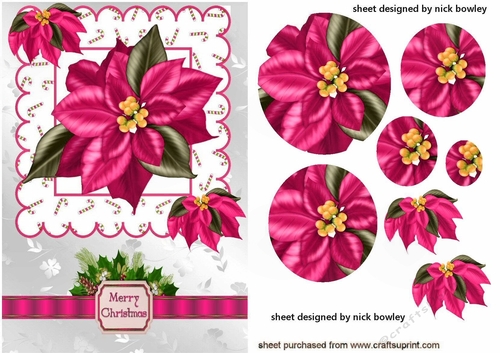 pretty pink poinsettias with bow & holly A5 oval pyramids